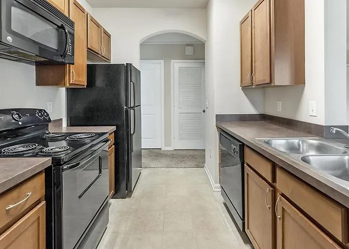 Landing Modern Apartment With Amazing Amenities