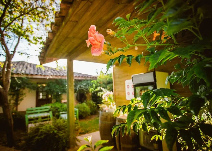Hotel Hoja De Parra