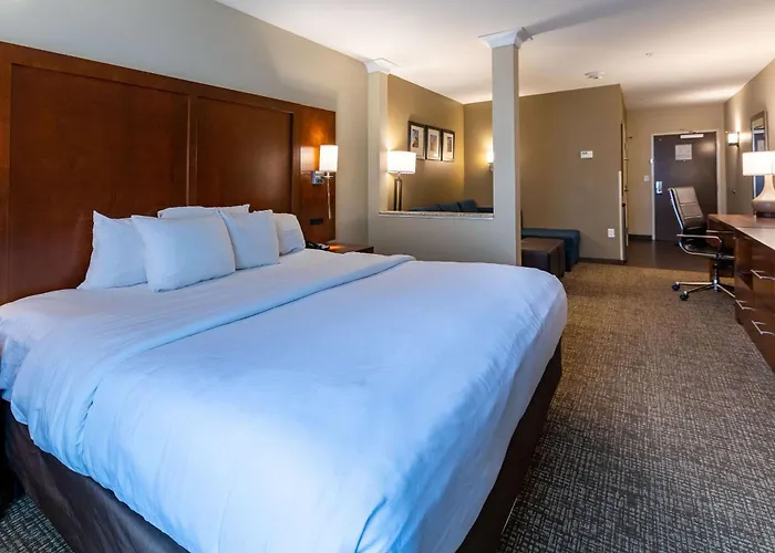 Comfort Suites Denver Near Anschutz Medical Campus