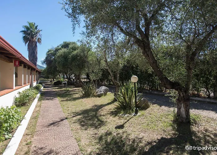 Vmhotel Napeto Dog Village