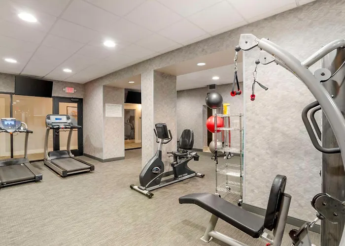 Best Western Plus Greenville I-385 Inn&Suites