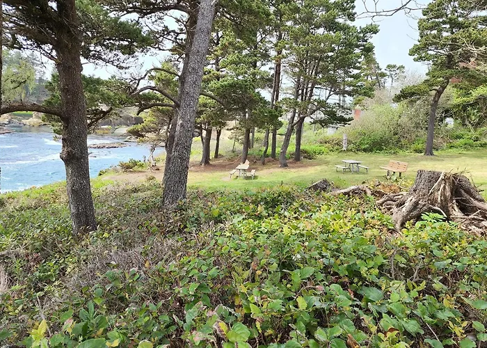 Ocean Front Condo! Spectacular Ocean Views! Walk To Everything!