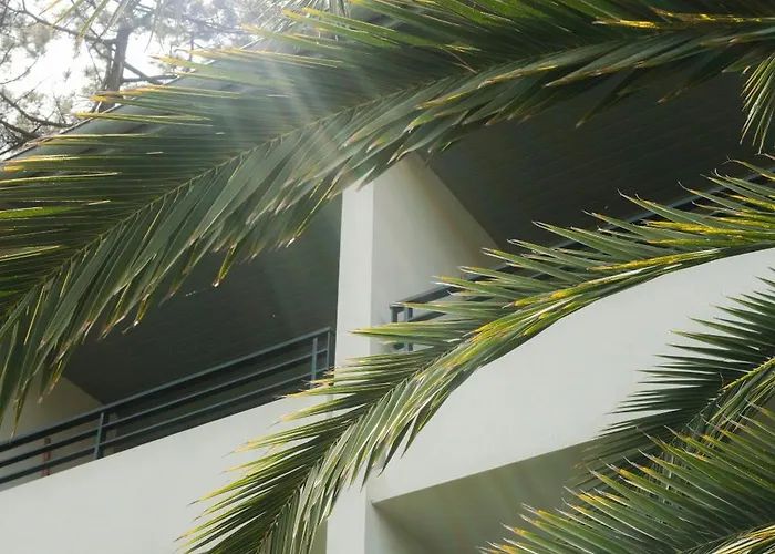 Hotel Les Fougeres - Hossegor