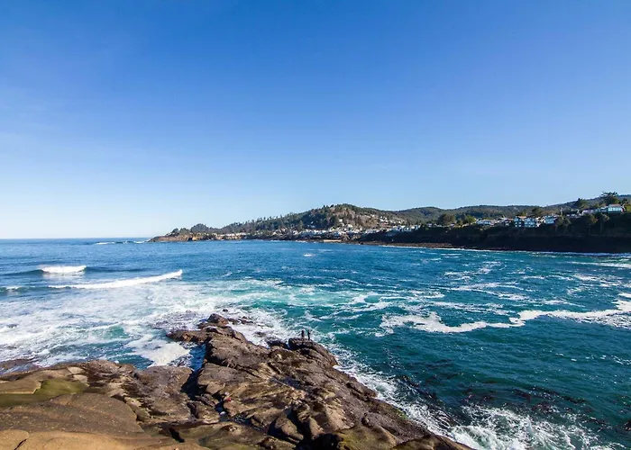 Whale Watching Has Never Been Easier At This Studio In Depoe Bay!