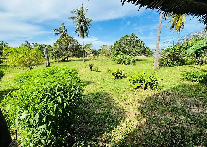 Basecamp Mafia Island