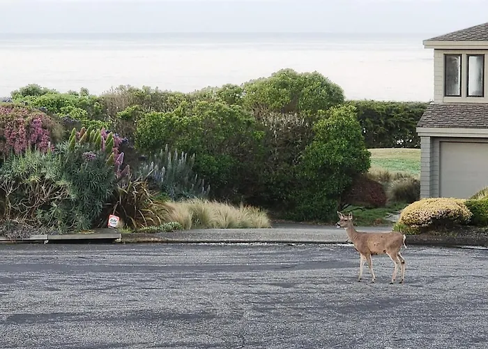 Bodega Bay Sonoma Coast Ocean Views 3 Bedroom Home