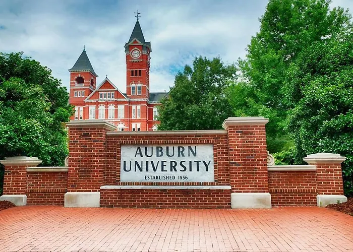 Vibrant Living Near Auburn University L 4Br 4Ba