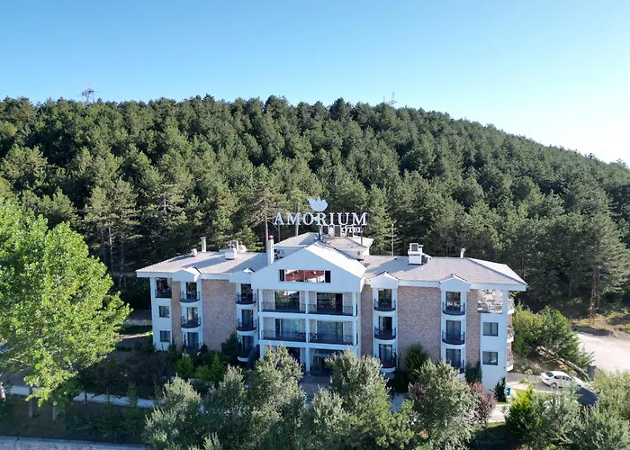Amorium Hotel&Wooden Stone House