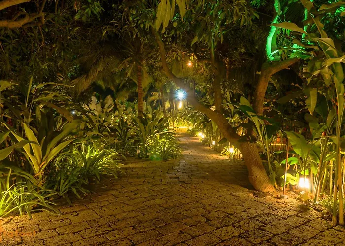 Jomo Resort