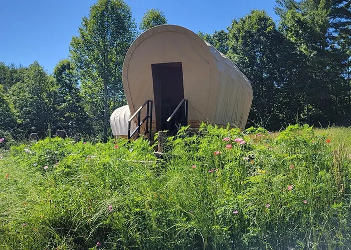 Covered Wagons Hill Camp - Wagon 1