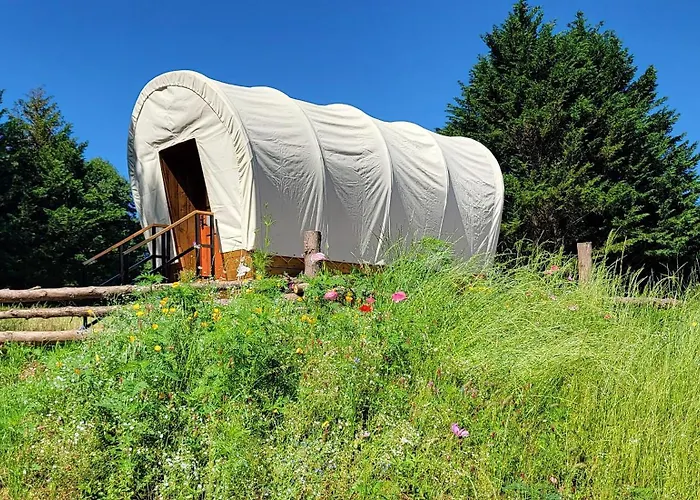 Covered Wagons Hill Camp - Wagon 2