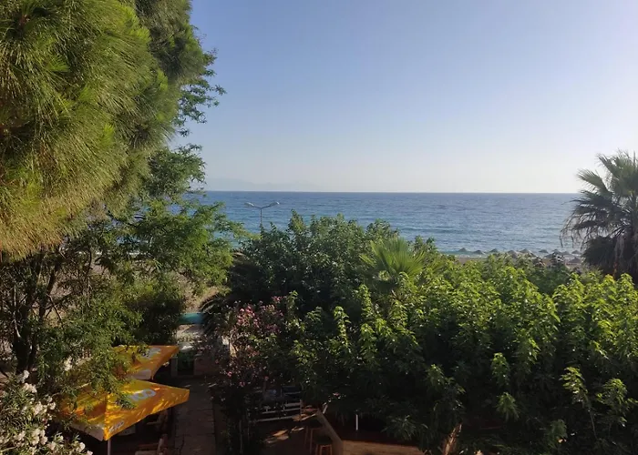 Palmiye Hotel