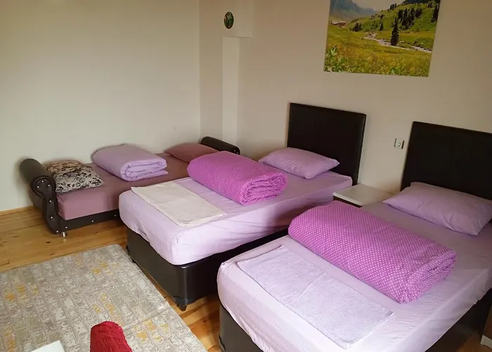 MiGRORAŞ OTEL&RESTAURANT-KARESTER YAYLASI