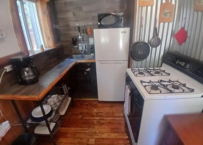Big Bear Lake - Tulip Lane Cabin #25