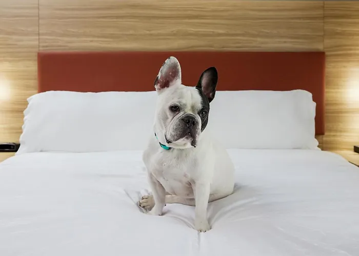 Candlewood Suites Junction City - Ft. Riley By Ihg