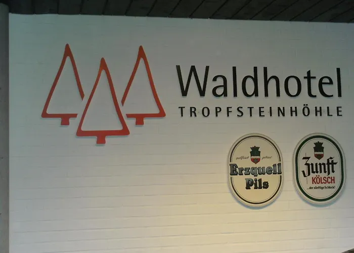 Waldhotel Tropfsteinhöhle