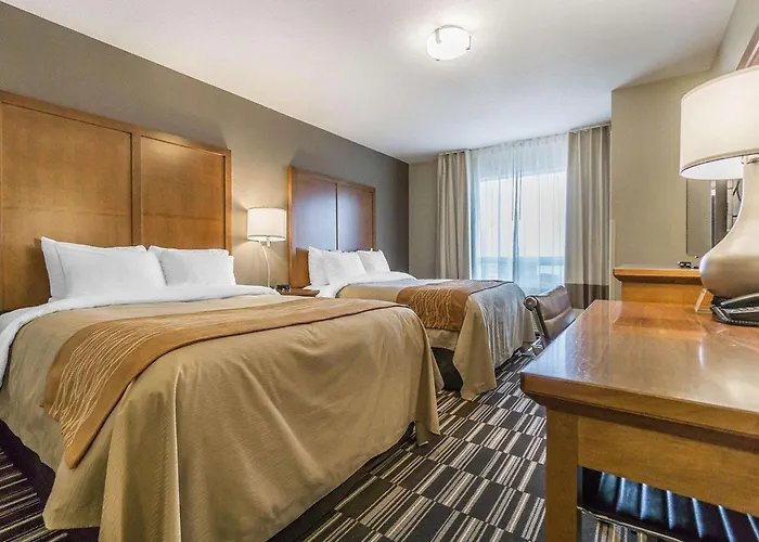 Comfort Inn & Suites Edmonton International Airport