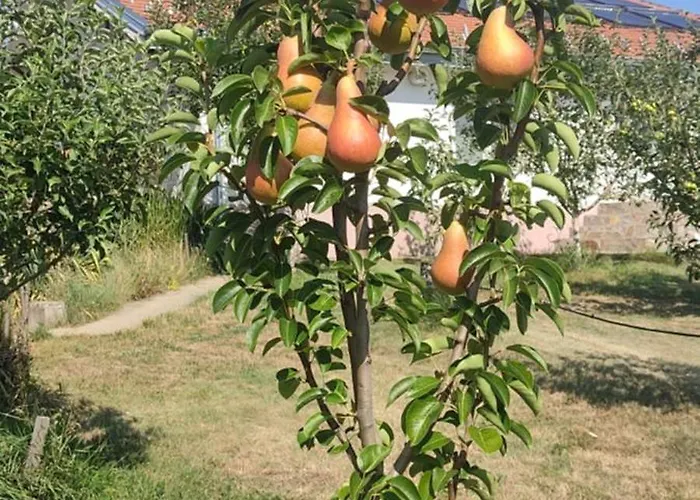 Hotel Cider&Squash, Grncarska 8, Prnjavor