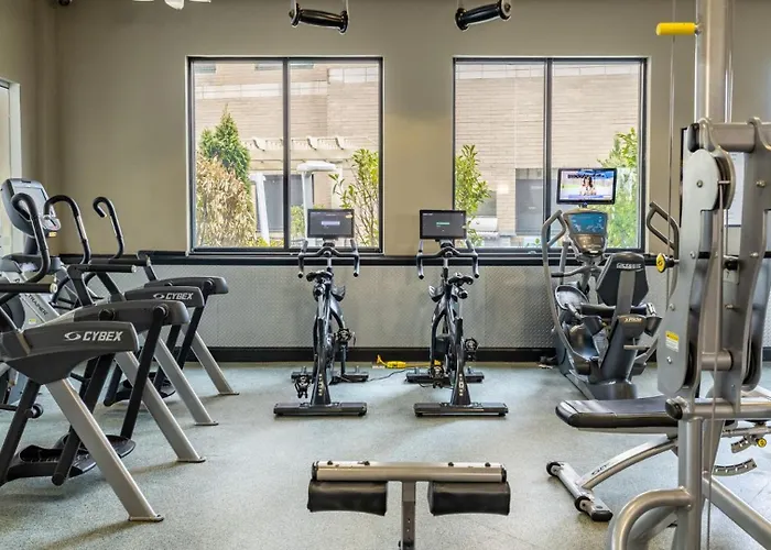 Modern Apt With Kitchen And Gym
