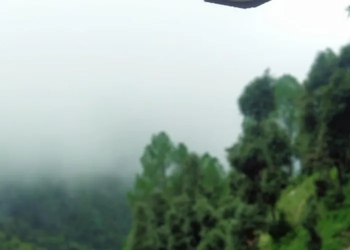 Goroomgo Peace Space Resort Nainital