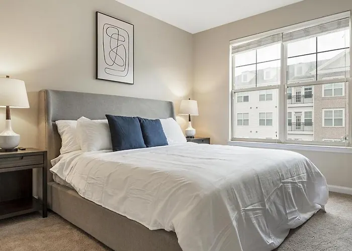 Landing Modern Apartment With Amazing Amenities