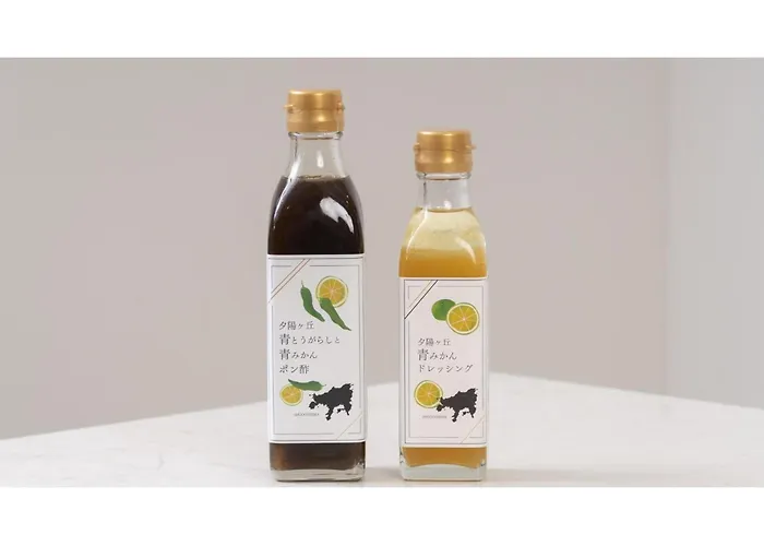 Olivean Shodoshima Yuhigaoka Hotel - Vacation Stay 30720V