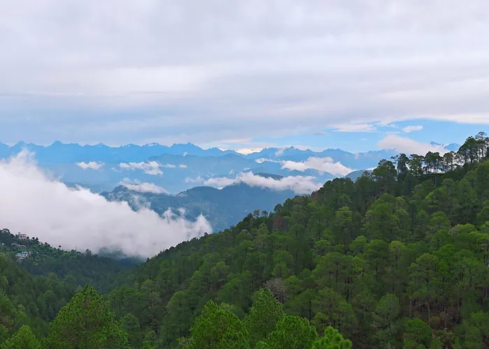 Hotel Pines And Peeks By Tws Hotels