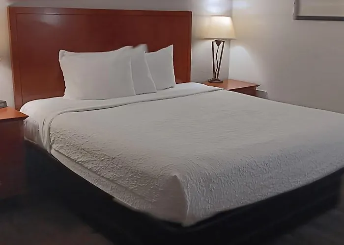 Quality Inn St Paul-Minneapolis-Midway
