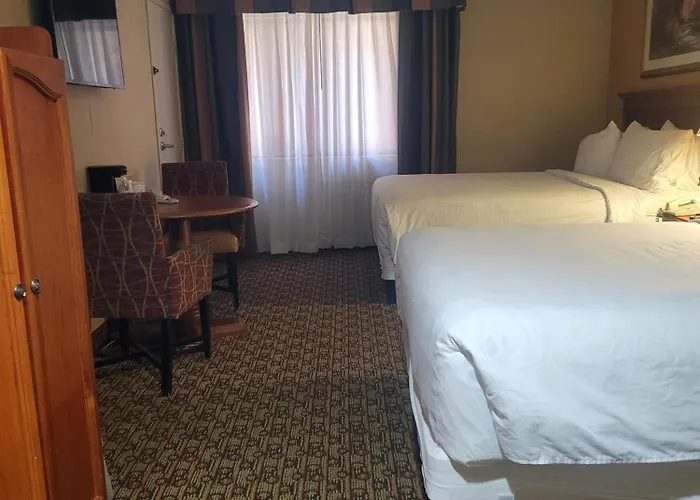 Hotel Xola