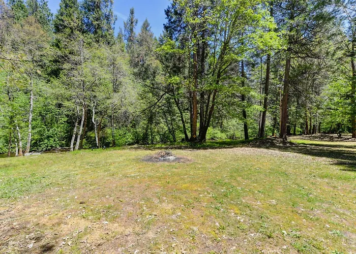 Lux, Designer 8-Acre Retreat With Private Creek