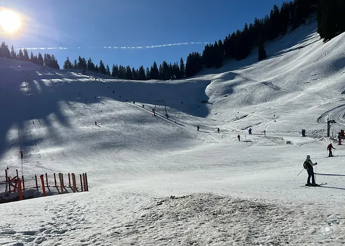 Untere Firstalm