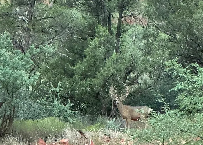 Sedona Cathedral Hideaway Llc