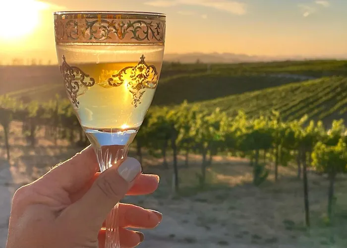 Domaine Chardonnay