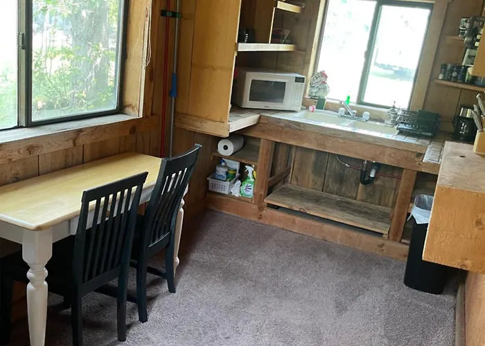 Cozy Cottage Off Salmon River Tributary, In Town