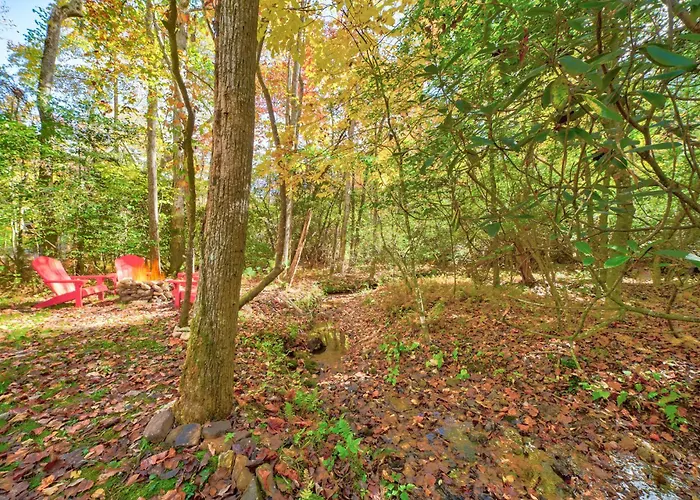 Ferny Creek Cottage