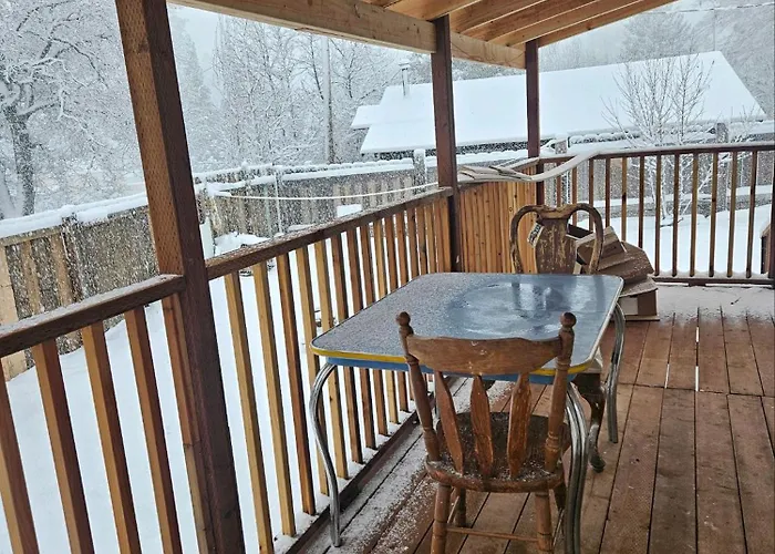 Shasta Om, 1Br1Ba Back Unit