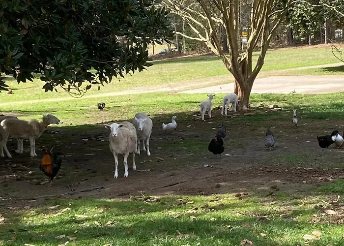 Stinnett Family Farm