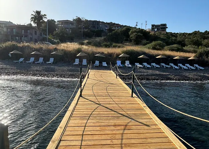 Merlot Assos