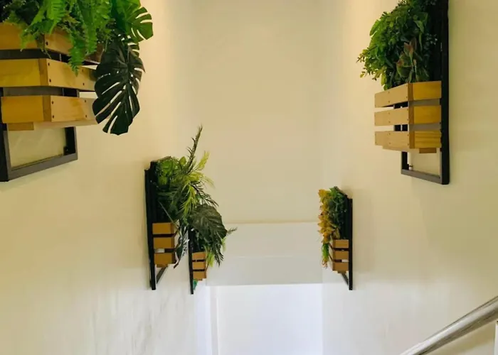 Kojo Hotels Tagum