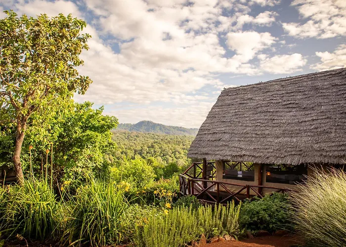 Rhotia Valley Tented Camp