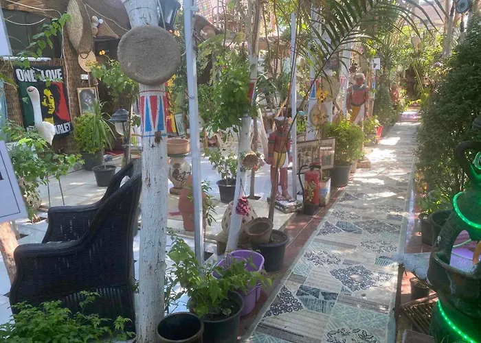 Peace Garden Hostel & Camp Luxor