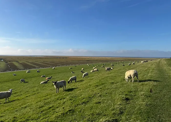 Nordseetraum - Ferienhaus Wolke