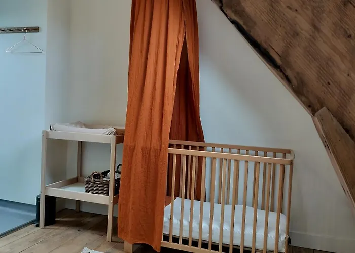B&B 'Hof Baaiweg' Met Barrelsauna