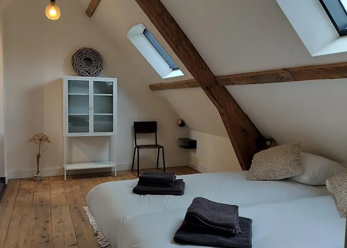 B&B 'Hof Baaiweg' Met Barrelsauna