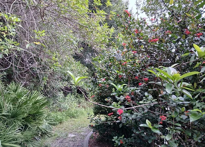 Punta Gorda Home, Sleeps 10