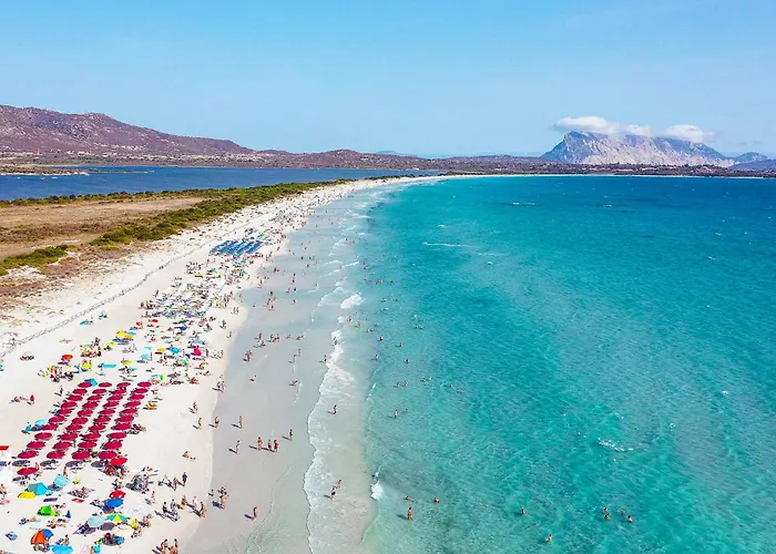 Zeta Club San Teodoro Le Rose