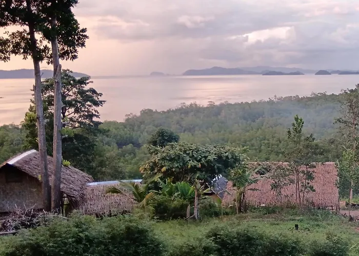 The View - Jungle Lodges - Port Barton