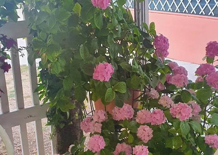 Hotel Eleonora Rimini