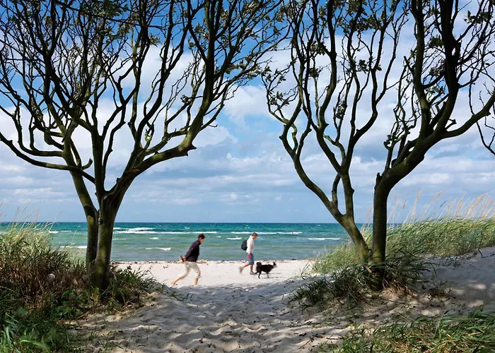 Doppelhäuser zum Reetmoor Haus Kirsten
