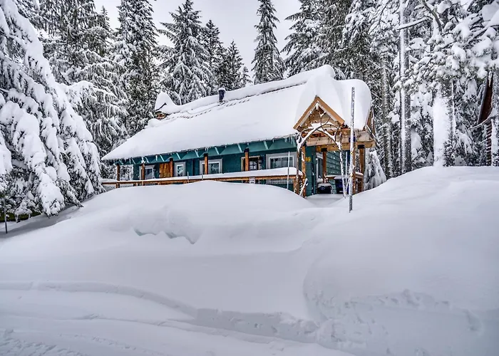 Snow Shire Cabin - Meredith Lodging
